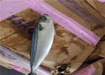 Scomber Japonicus Under 18 Degree 300g Fresh Frozen Mackerel