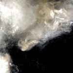 Around 5% Raw White TPP Fiber High Tenacity Environmental Protection Textile
