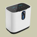 OEM 2l Electric Oxygen Generator Concentrator For Room