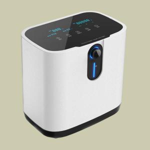 Quality OEM 2l Electric Oxygen Generator Concentrator For Room wholesale