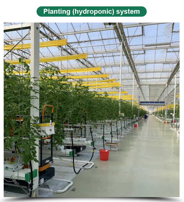 Instruction for Agricultural Glass Hydroponics System Commercial Greenhouses Frame