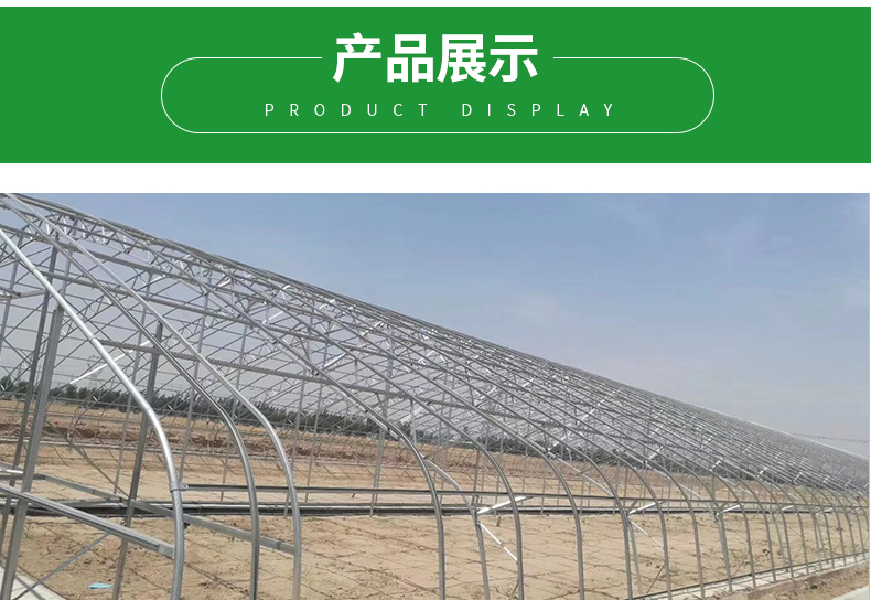 Commercial Film Covered Single Tunnel Greenhouse for Maximizing Agricultural Output