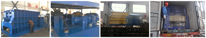 Horizontal Metal Shear supplier