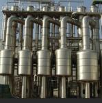 Vacuum Double Effect Evaporator Evaporator For Mango Juice Concentration