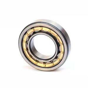 Quality NJ2320-E-XL-M1A-C3 NJ2320-E-XL-M1A-C4 Germany Quality Cylindrical Roller Bearings Rich in Stock Cheapest Price 100x215x73mm wholesale