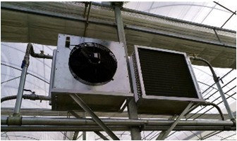 Economical European Polycarbonate Greenhouse with Roof and Side Ventilation Panels