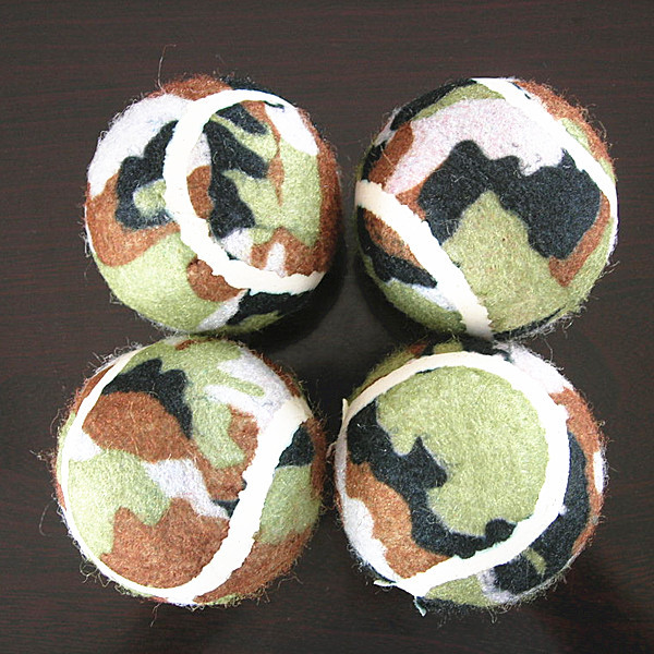 dog toy ball