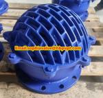resilient seal cast iron flanged foot valve