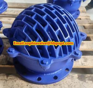 Quality resilient seal cast iron flanged foot valve wholesale