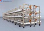 Animal Feeding H Type Automatic Chicken Cage , Hen Battery Cages For Broilers