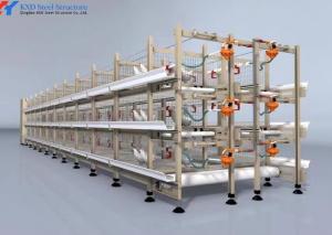 Quality Easy Install Broiler Chicken Cage Automatic Chicken Feeding System For Poultry wholesale