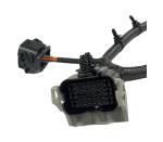 Copper Wire Automotive Transmission Wiring Harness For Gearbox Corrosion