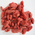 Bcs Organic Goji Berries Manufacturer For Wholesale