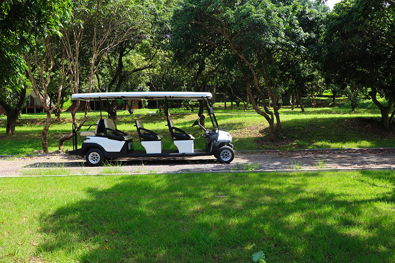 Excar 8 Seats Special Body Design Sightseeing Car With Flip-Flap Seat