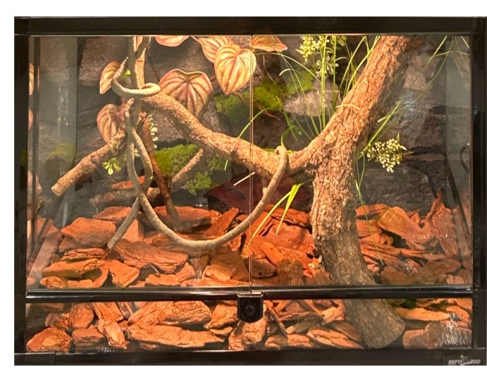 Natural Texture Reptile Cage Background Flameproof Customizable For Snack
