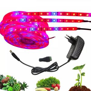 Quality Full Spectrum Usb Greenhouse Hydroponic Indoor Plant Grow Lights wholesale