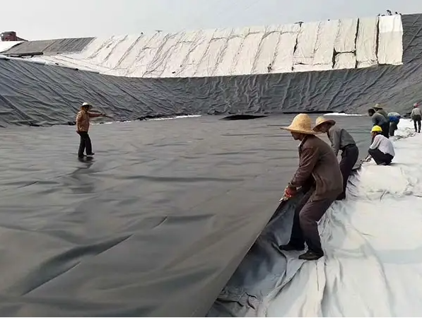 0.5mm Thickness HDPE Geomembrane for Fish Farm Pond Liner in Waterproof Material