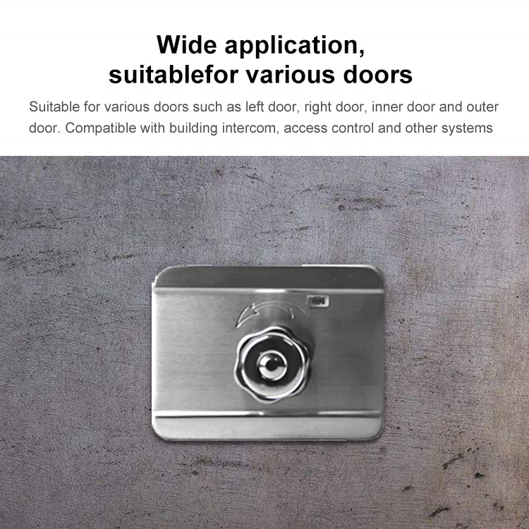 Outside 12v Security Mechanical Magnetic Electric Rim Lock