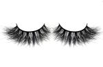 Long Lasting Invisible Band Eyelashes , Black Natural Looking False Eyelashes