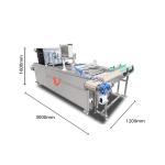 Automatic Continuous Modified Atmosphere Packaging Equipment Electric Pneumatic