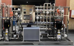 Quality Filmtec / Toray Membrane EDI System 1-50m3/Hour Produce Ultrapure Water wholesale
