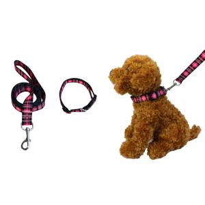 Quality Bright Dog Lead And Collar Set Adjustable 30-48cm Buckledown Dog Collars wholesale