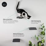 Offering Small Animals the Opportunity to Climb and Observe Black Powder Coated
