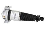 Audi Q7 Car Electronic Air Suspension Part Control Module 7L6616019K