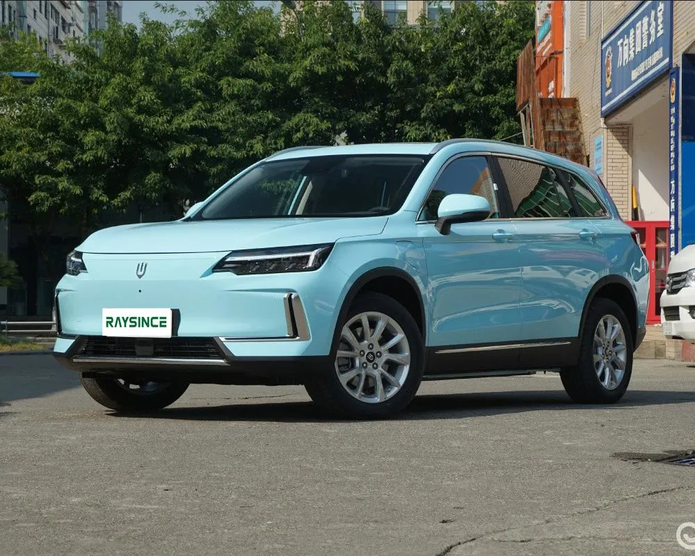 Hot Sell China Manufacture SUV Electric Adult Raysince China SUV Electric Cars