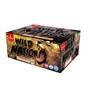 Quality 63 Shots New Item Rapid Tails Shooting Cake Fireworks wholesale