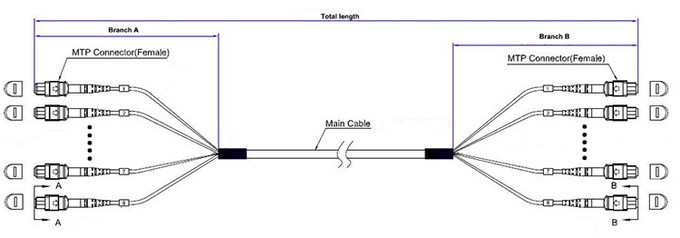 40G 100G SFP Female To Female MPO MTP Cable 24 Core OM4 MTP Cable