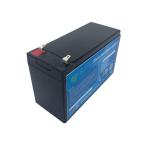Deep Cycle 9.9Ah 12V LiFePO4 Battery Pack Environmental Friendly
