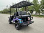 Fashion Meets Performance Colorful Golf Cart Blending Stunning Aesthetics With