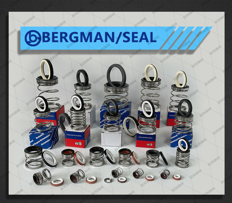 BERGMAN 560B Pump Mechanical Seal SS304 SS316 Metal