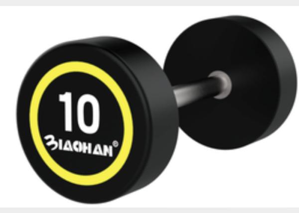 2kg - 30kgs Gym Fitness Dumbbell / Gym Accessory PU Dumbbells For Commercial
