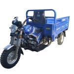 Five Wheel 2*1.35m Gas Powered Trike Bicycle