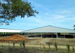 Quality cowshed project wholesale