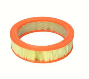 Premium Automotive Engine Air Filter OE: 4180565; C2443 For FIAT(69-79), FORD