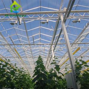 Quality Commercial Multispan Large Venlo Glass Greenhouse Hot Galvanized Steel Frame wholesale
