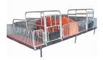 pig breeding equipment