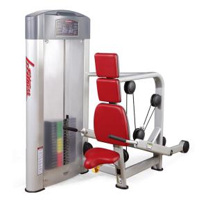 Quality China gym body fitness equipment seated sliver frame triceps press exercise machine wholesale