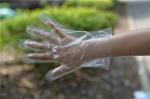 Plastic Disposable HDPE Gloves For Kitchen Cooking Cleaning