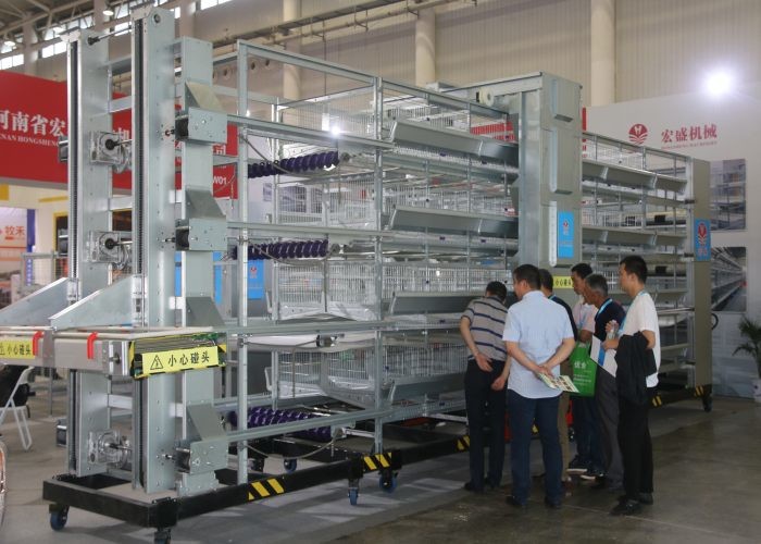 Hot Galvanized Layer Poultry Farming Equipment 15-20 Years Lifespan