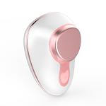 OEM Electronic Hot And Cold Face Massager , IP67 Ionic Facial Massager Mahcine