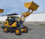 Articulated Miniature Front End Loader 800kg 1000kg Rate Load
