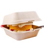 155mm Eco Friendly Square Bagasse Lunch Box Food Container For Restaurant