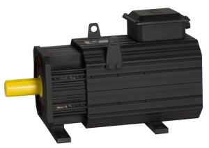 Quality High Speed Lightweight Small DC Servo Motor 3000rpm wholesale
