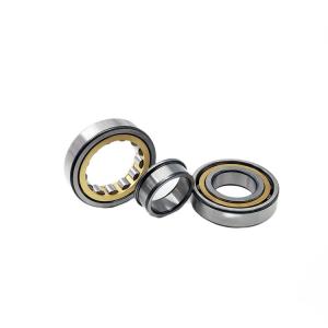 Quality ECP Full Complement Roller Bearings N2206 NUP206E Nj206 30x62x16mm wholesale