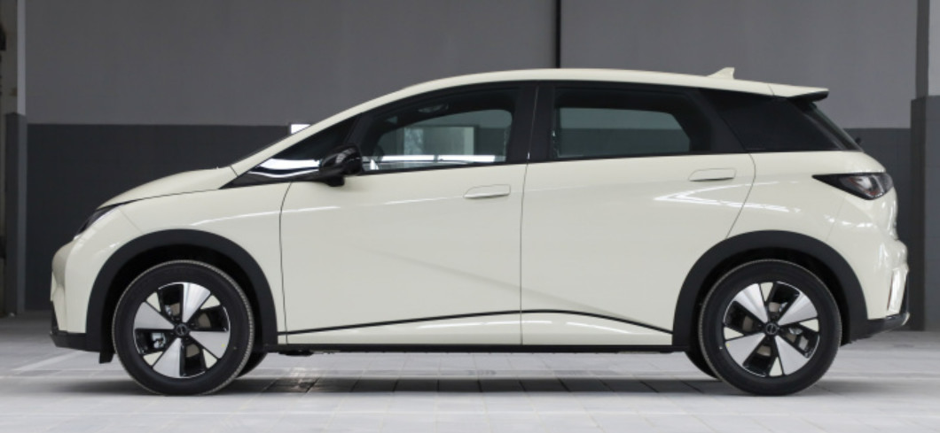 BYD Dolphin 2023 420KM Free Version 5 door 5 seat Hatchback Small Car