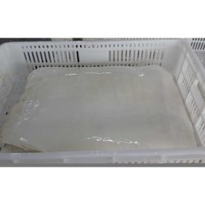 Quality Natural Color Ocean Squid Fillets Skin Off New Frozen Squid wholesale